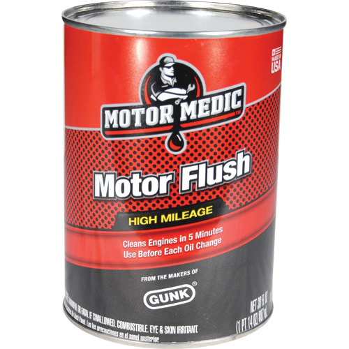 Motor Flush Diversion Safe