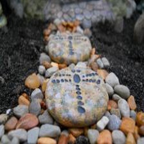 Dragonfly Stepping Stones