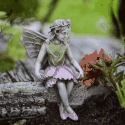 Fairy Eve