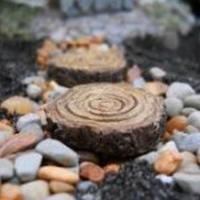 Tree Stump Stepping Stones